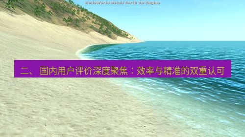 helloworld翻译 二、 国内用户评价深度聚焦：效率与精准的双重认可