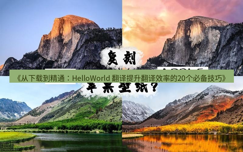 helloworld翻译 《从下载到精通：HelloWorld 翻译提升翻译效率的20个必备技巧》