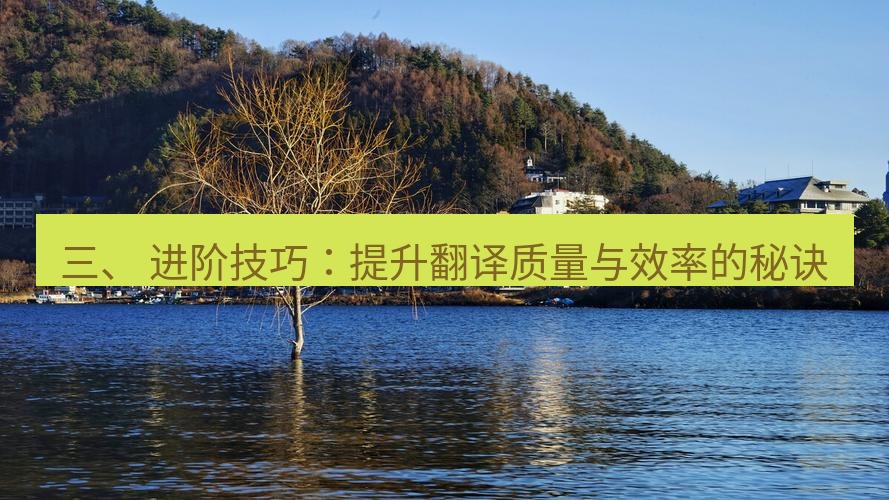 helloworld翻译 三、 进阶技巧：提升翻译质量与效率的秘诀