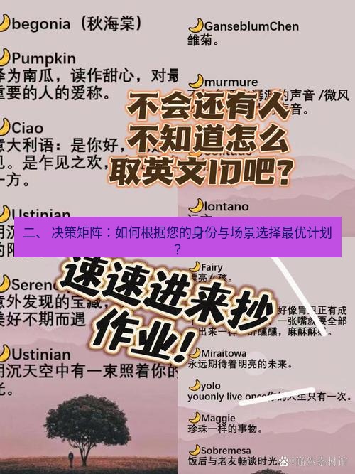 helloworld翻译 二、 决策矩阵：如何根据您的身份与场景选择最优计划？