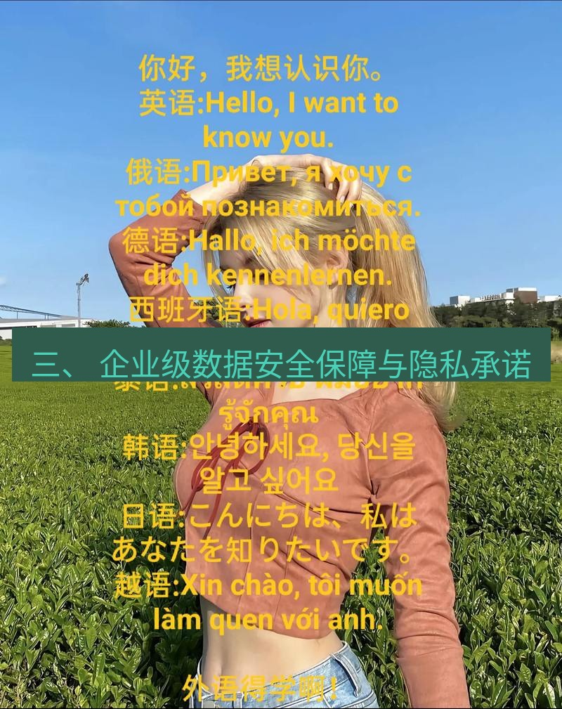 helloworld翻译 三、 企业级数据安全保障与隐私承诺