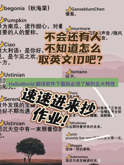 helloworld翻译 HelloWorld 翻译软件下载前必须了解的五大特性