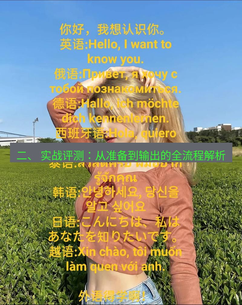 helloworld翻译 二、 实战评测：从准备到输出的全流程解析