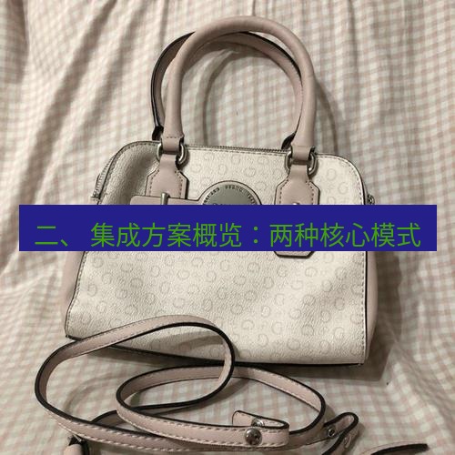 helloworld翻译 二、 集成方案概览：两种核心模式