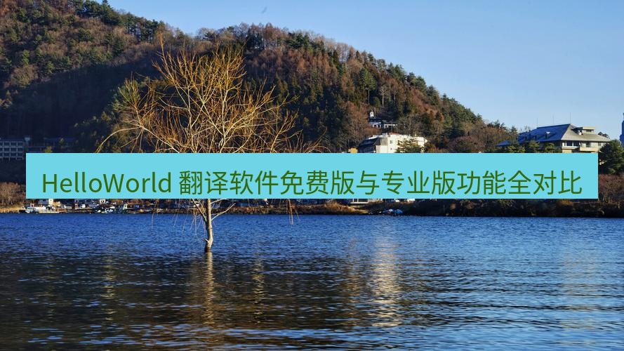 helloworld翻译 HelloWorld 翻译软件免费版与专业版功能全对比